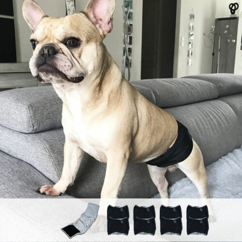 Couche lavable chien : lot de 8 ceintures absorbantes lavables pour mâle (fuite urinaire animaux)