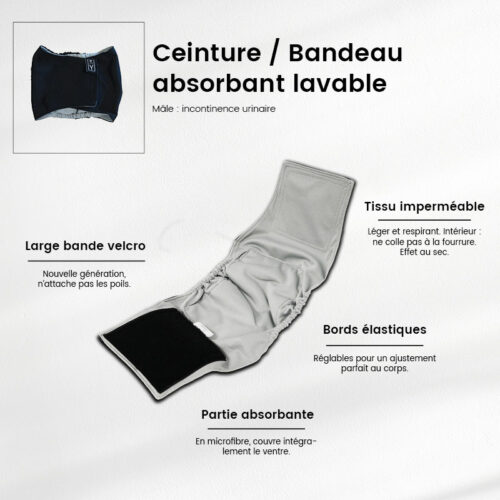 Couche lavable chien : 1 ceinture absorbante lavable pour mâle (fuite urinaire animaux)